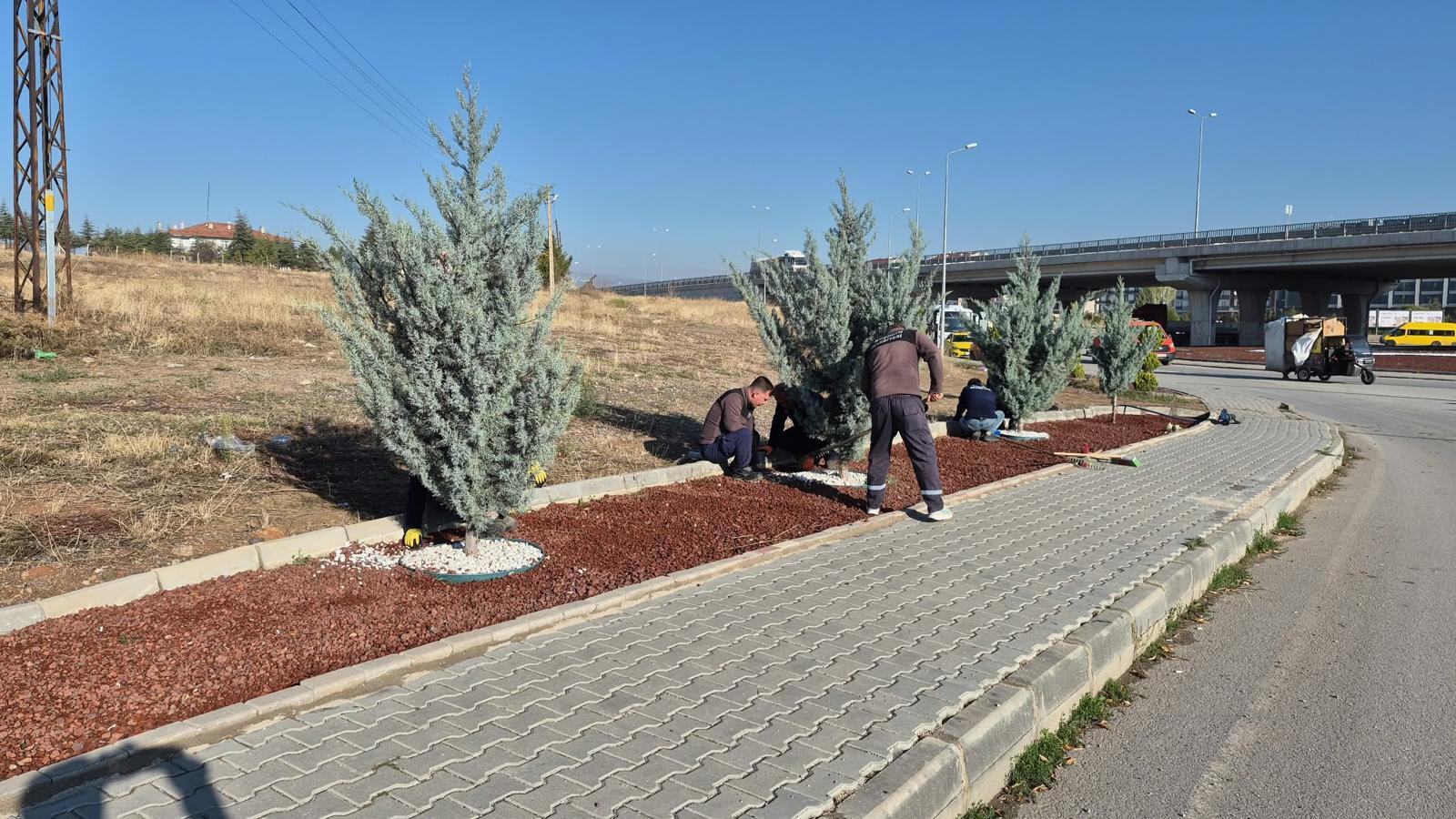 yesil-alanlarimizda-bakim-ve-peyzaj-calismalari-devam-ediyor