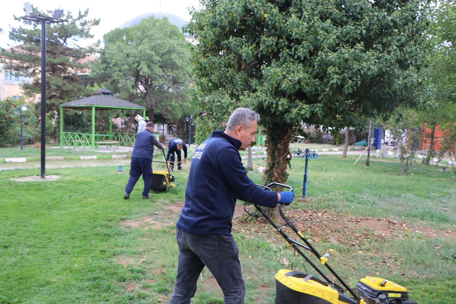 park-ve-bahceler-mudurlugu-ekiplerimiz-cim-bicme-calismalarini-surduruyor