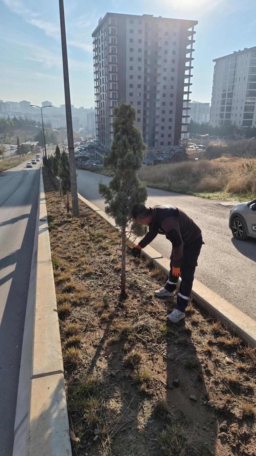 yesil-alanlarimizda-bakim-ve-peyzaj-calismalari-devam-ediyor
