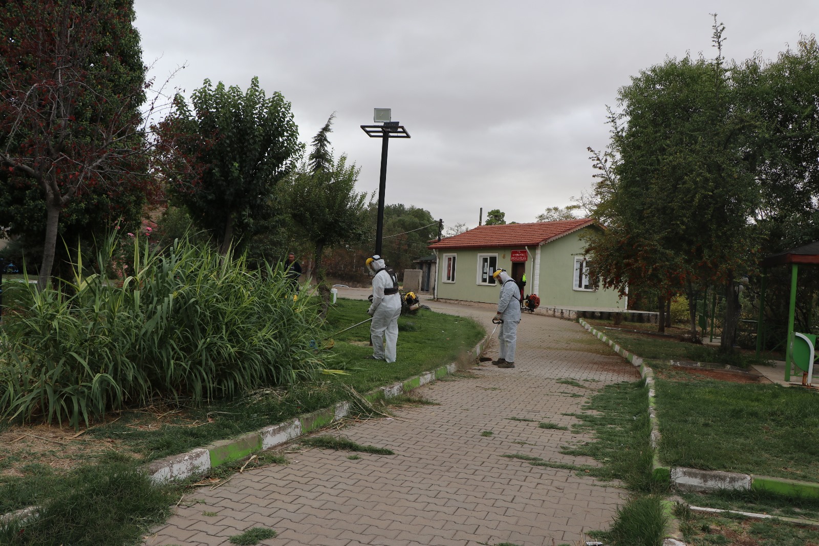park-ve-bahceler-mudurlugu-ekiplerimiz-cim-bicme-calismalarini-surduruyor