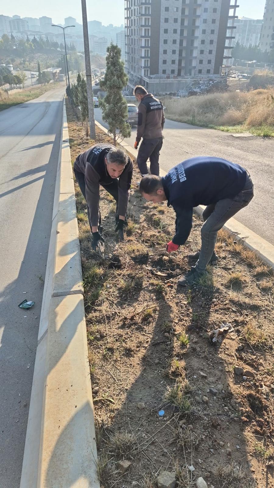 yesil-alanlarimizda-bakim-ve-peyzaj-calismalari-devam-ediyor