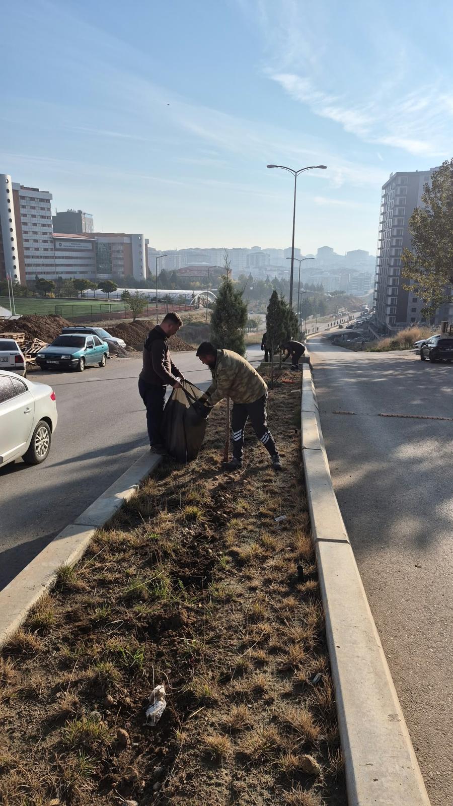 yesil-alanlarimizda-bakim-ve-peyzaj-calismalari-devam-ediyor