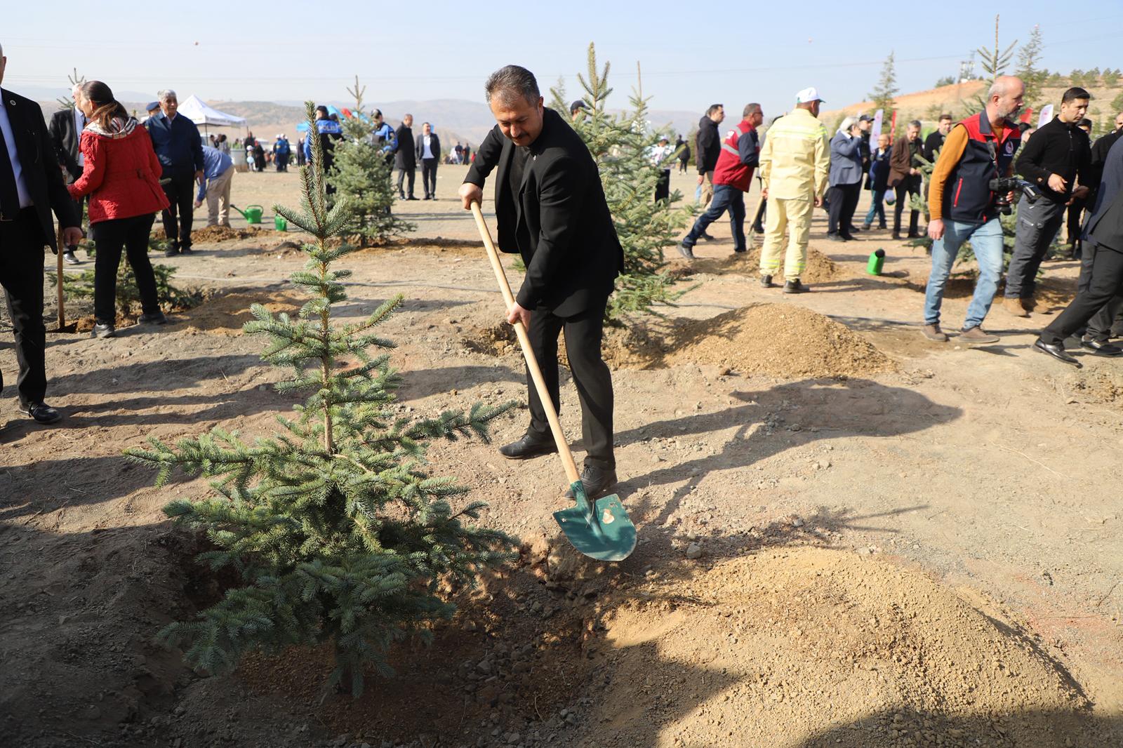agaclandirma-gunu-kapsaminda-ilcemizi-yeni-fidanlarla-bulusturduk