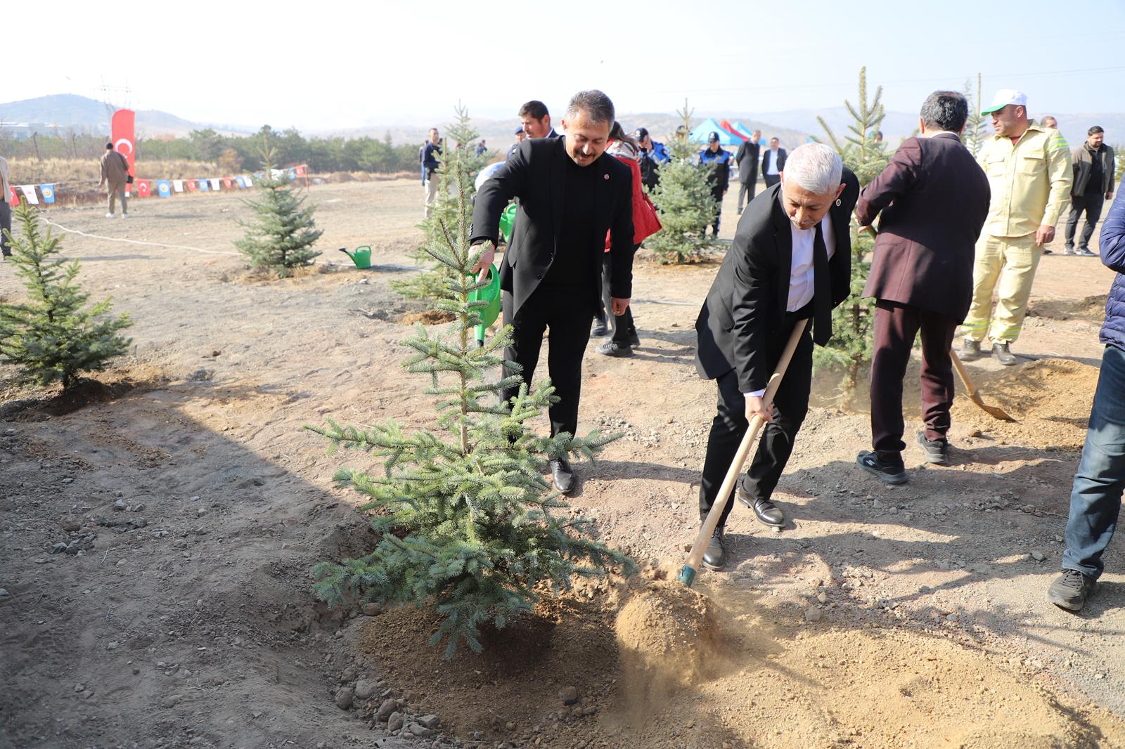 AĞAÇLANDIRMA GÜNÜ KAPSAMINDA İLÇEMİZİ YENİ FİDANLARLA BULUŞTURDUK
